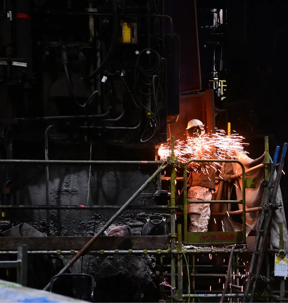 Stage bij liz holland